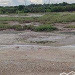 Bán đất tại đường dương vạn hạnh, xã lý nhơn, cần giờ, hồ chí minh, giá siêu hời 7 triệu / m2