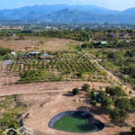 Bán đất vườn làm farm, homestay, nhà vườn nghỉ dưỡng giá 1.5 triệu/m2. gọi ngay 0969876162