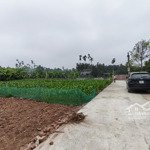 Bán đất 569m2 tại chính lý, lý nhân, hà nam hơn 2tr/m2
