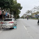 Sở Hữu Ngay Nhà Cấp 4 Mặt Phố Ngô Gia Tự: 2 Mặt Tiền, 147M2 - Cơ Hội Kinh Doanh Không Giới Hạn!