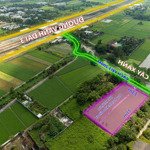 Bán đất vườn 2252m2 mặt tiền rạch cây xanh cách đường vành đai 3 200m giá 13 tỷ