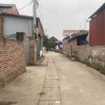 Bán nr tại xã tráng việt, mê linh, hà nội, 45 triệu/m2, 91 m2, uy tín bán gấp