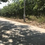 Bán 2.7ha đất skc đóng tiền 1 lần 30 năm tại phước hòa, phú giáo