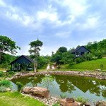 Bán căn villa mini tại vân hòa sẵn kinh doanh dòng tiền