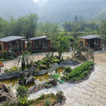 Cực Hiếm Homestay Đèo Dá Trắng Đẹp Long Lanh. Có Khu Nghỉ Dưỡng 7 Phòng Tại Thung Lũng Đèo Đá Trắng