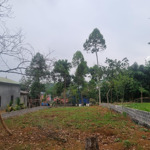 Đất Đẹp Giá Rẻ Bám Đường Nhựa Liên Xã Kinh Doanh Nhà Hàng Nghỉ Dưỡng Tại Phú Mãn, Quốc Oai, Hà Nội