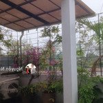 Chính chủ cần tiền bán gấp nhà 3 tầng tại giang biên, long biên, giá 14,5 tỷ (tl)