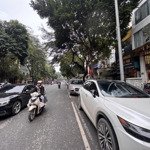(hiếm) (gấp) bán nhà kinh doanh mặt phố hàm long - hoàn kiếm, lô góc, 43m2 x 4 tầng, 23 tỷ