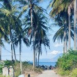 Hơn 110m đất thổ cư tại tân đức đông, vạn lương. đường ô tô thông biển, cách biển chỉ 40m.
