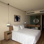 Cho Thuê Toà Khách Sạn Gần Crown Mới Xây, Có Thang Máy