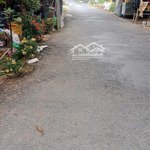 Cần bán đất mặt tiền đường nhựa chính chủ - tại xã bình hàng trung, cao lãnh, đồng tháp