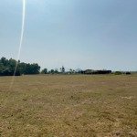 Bán đất giá rẻ ninh thọ bình sơn, 2000m2 chỉ 500k/m2, gần tl1a