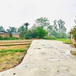 Chính chủ vài lô đất trung tâm thị xã phổ yến giá nhỉnh 1 tỷ. liên hệ 0818679666