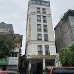 Bán nhà mặt phố nguyễn công trứ , 100m , 8 tầng , 6.5m mặt tiền , chỉ 55 tỷ kinh doanh,vỉa hè rộng