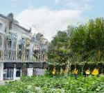 Chính chủ bán cắt lỗ căn liền kề san hô diện tích 56m2. giá chỉ hơn 8 tỷ