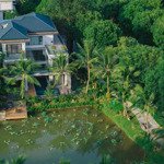 Bán biệt thự đơn lập 450m2 ecopark grand, vị trí đặc biệt