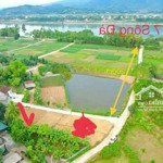 Chỉ 599 triệu có ngay lô đất 409m2 tại tu vũ thanh thuỷ phú thọ cách tl317 chỉ 200m cầu đồng quang 7km