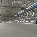Cho thuê xưởng sản xuất 5000m2, 8000m2, 12.000m2 ngay kcn long hậu, kcn tân kim, cần giuộc, long an