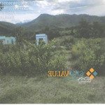 đất nền 1040,7m2 tại xã khánh phú, khánh vĩnh, khánh hòa, giá 3,5 triệu vnd/m2