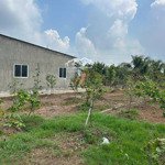 đất thổ giá rẻ bùi tấn, nhơn thạnh trung, p tân an 7,2m x 23m đầu tư sinh lời tốt