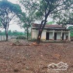Bán đất tại xã trần phú, chương mỹ, hà nội, 5,5 triệu / m2, 1050 m2, view đẹp, nhanh tay chốt liền