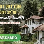 [bt đơn lập rừng thông hàng hiệu] nâng tầm bst bđs của chủ nhân tinh hoa, thanh xuan valley