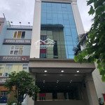 Cho thuê nhà mặt tiền 113 nguyễn minh hoàng, p12, tân bình - 5x20m - hầm - 6l - thang máy