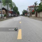 Chính chủ bán hoa hậu đường nhạn,dt 163m2, mt 8,74m, đường 2 oto tránh,cạnh khu cn đông anh, giá rẻ