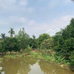 Tin Thật 3650M2 Đất Đẹp Xã Tam An View Nhánh Sông Đồng Nai Hãy Gọi Ngay