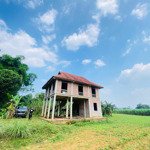 Em bán 3000m (dt thực 4000m) bám đường 50m. có sẵn nhà, cách ql chỉ hơn 1km, giá ưu đãi chỉ 3.x tỷ