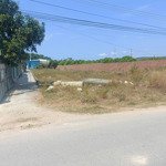 đất sào 2 mặt tiền đường nhựa lớn tân hòa - phú mỹ; cách đường s chỉ 100m, giá rẻ bất ngờ