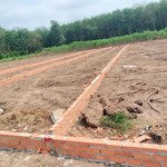 Bán đất nền khu vực an linh phú giáo diện tích 250,2 giá bán 580tr cam kết giá thật không ảo
