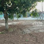 Bán Gấp 1.4 Sào Mặt Tiền Hương Lộ 2 Long Phước Ngang 19M Có 80M2 Thổ Giá Chốt 4.3 Tỷ
