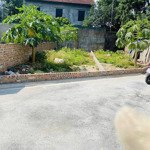 Bán lô đất đẹp tại đa tốn gia lâm hà nội giá chỉ 3 tỷ 250tr