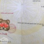 Chính Chủ Gửi Bán Nhà Cấp 4 + 6 Phòng Trọdiện Tích171M - Ngay Đường Nguyễn Văn Tiết, Lái Thiêu