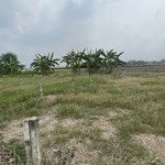 Chính chủ cần bán 961m2 đất trong đó có 191m2 thổ cư còn lại 770m2 đấy lúa, thích hợp làm nhà vườn