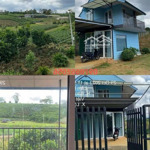 Giảm Giá Lần Cuối 1Ty 350 Ạ
Chủ Không Chịu Nỗi Lãi Ngân Hàng Cần Bán Gấp Homstay Nghĩ Dưỡng