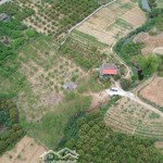 Bán khu đất đẹp trung tâm phường thanh hải -thị xã chũ 4.160m2 giá nhỉnh 5 tỷ