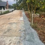 Sở Hữu Ngay Lô Đấy Nghỉ Dưỡng Giá Chỉ 599 Triệuiệu Tại Vùng Ven Đà Lat