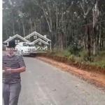 5,5ha mặt tiền đường xã nghĩa thắng dak nong bán cho nhà đầu tư