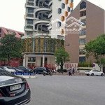 Bán gấp căn nhà vườn mặt phố bùi thiện ngộ khu đô thị việt hưng long biên