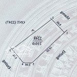 Bán đất đấu giá lối 2 đường trần đình san