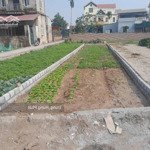 Bán đất gần ngay đường 427 tại chương dương, thường tín 90,8 m2 vị trí phù hợp cho kinh doanh