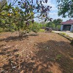 Bàu chinh, khu dân cư , đường thông khu vực, , 2 sào 1 đất nở hậu , giá 2.2 tỉ