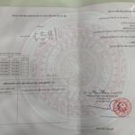 Tiềm năng nhất đấu giá bái trong - hoa động - thuỷ nguyên chỉ 3.1x tỷ vị trí siêu đẹp. lh 0967084289