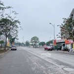 Bán nhà dân xây, 50m2, nở hậu, oto thông, 300m ra vinhome, tiện ích bạt ngàn, giá đầu tư