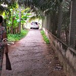Bán đất nhanh chính chủ _ ấp phú mỹ __ xã phú túc _ châu thành bến tre _ngay q lộ 57b _lô đất góc