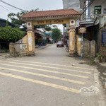 Chính chủ cần tiền gửi bán gấp mảnh đất đẹp bìa làng thôn hội phụ. đông hội. đông anh