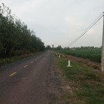 Bán gấp hơn 7,5 hecta đất cln tại xã ninh điền, châu thành, tây ninh, giá 17ty thương lượng chủ