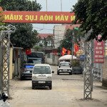 Bán đất tại tỉnh lộ 82, 33 triệu, 105 m2, phúc thọ, hà nội